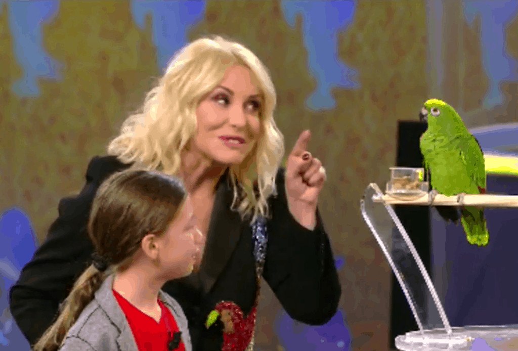 Un momento del programma "Portobello" con Antonella Clerici con una bambina davanti al pappagallo, protagonista di puntata