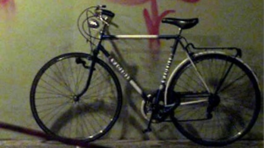 biciciletta marco biagi