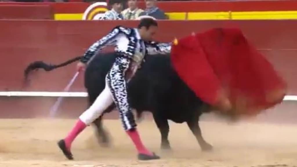 Il torero Enrique Ponce incornato a Valencia