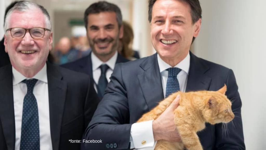 primo piano del premier giuseppe conte con in braccio il gatto merlino