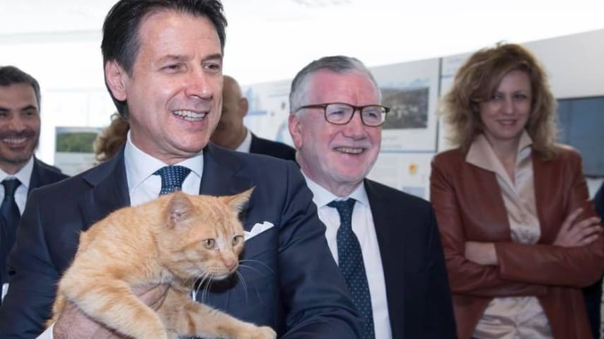 primo piano del premier giuseppe conte con in braccio il gatto merlino