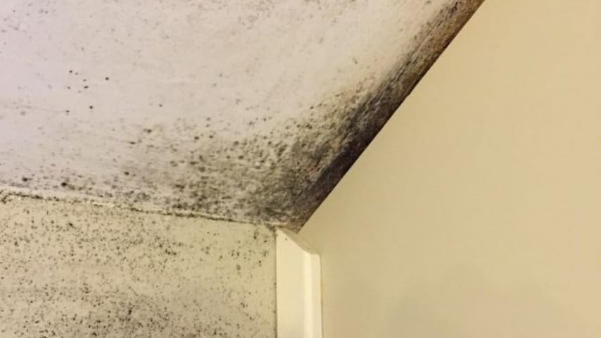 angolo di soffitto coperto dalla muffa