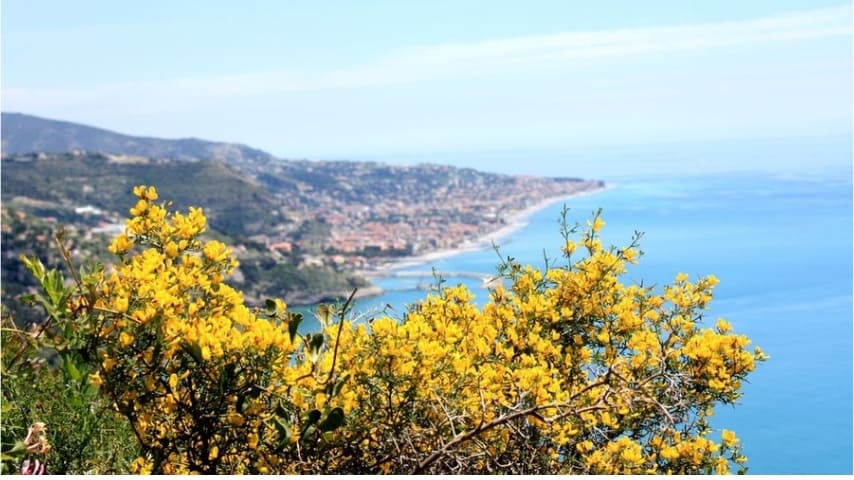 Torna la primavera