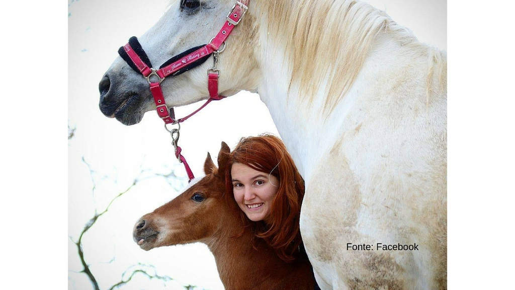 Ragazza sorridente insieme ad un cavallo bianco e ad un puledro marrone