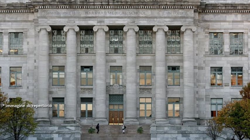 La Harvard Medical School di Boston, dov'è stata svolta la ricerca