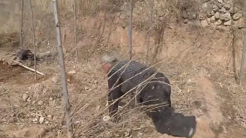 L'anziano si trascina sulla collina