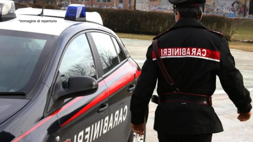 carabinieri e una volante vicino