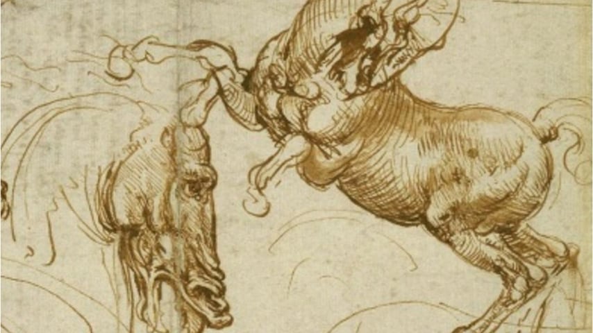 Da Vinci studia l'anatomia degli animali