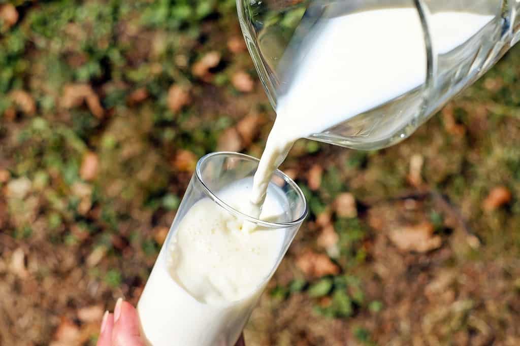 latte in un bicchiere