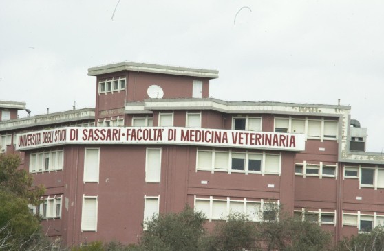 facolta di veterinaria di sassari