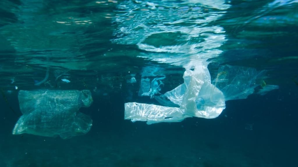 Borsa di plastca galleggia negli oceani