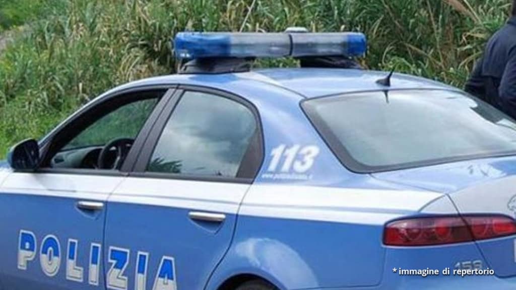 auto della polizia in campagna