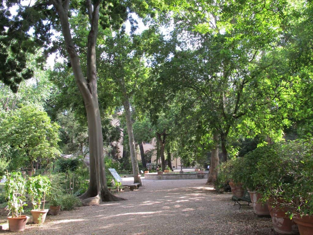 verde parco