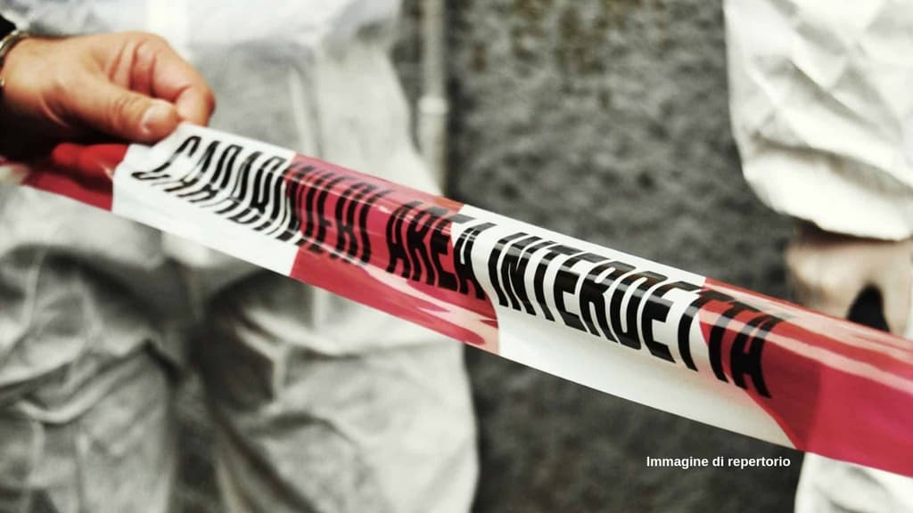 Cervia, arrestata ragazza per la morte del ciclista travolto e abbandonato questa notte (Immagine di repertorio)