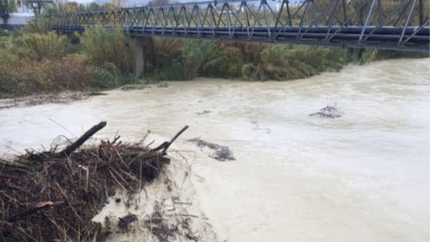 Fiume Saline. Immagine: Ansa