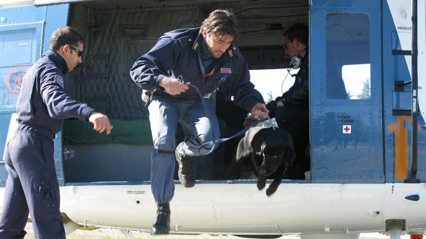 Gino, cane poliziotto