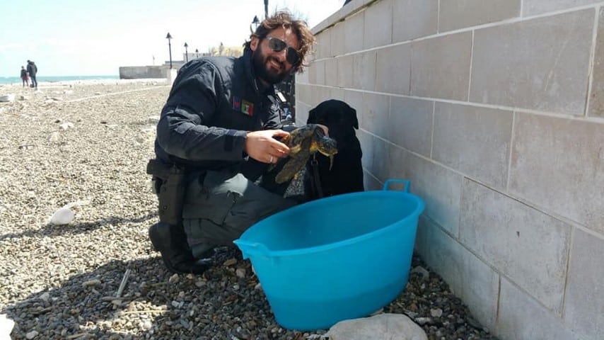 Gino, cane poliziotto