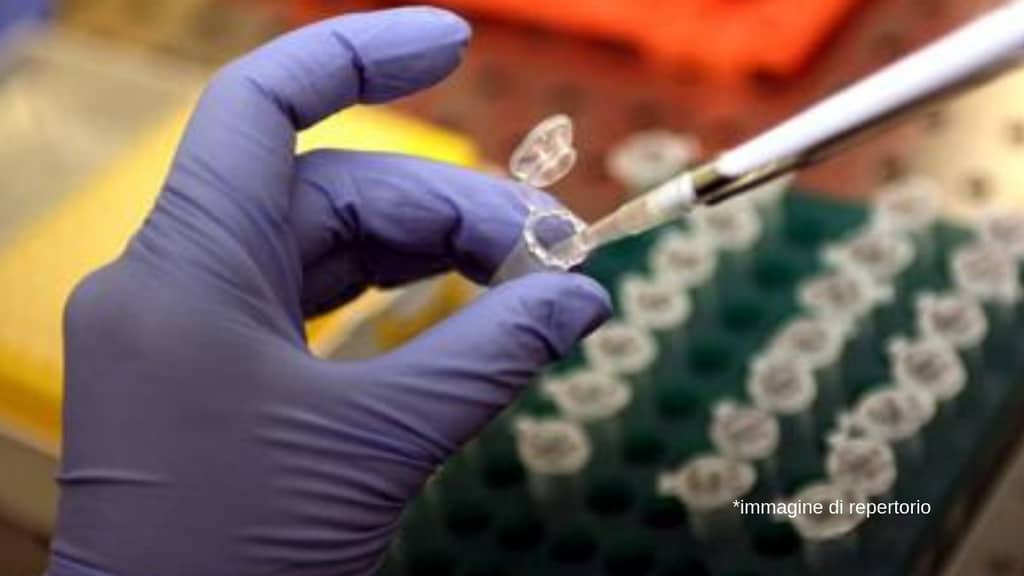 Tumori, la ricerca va avanti svelato il meccanismo per farli morire