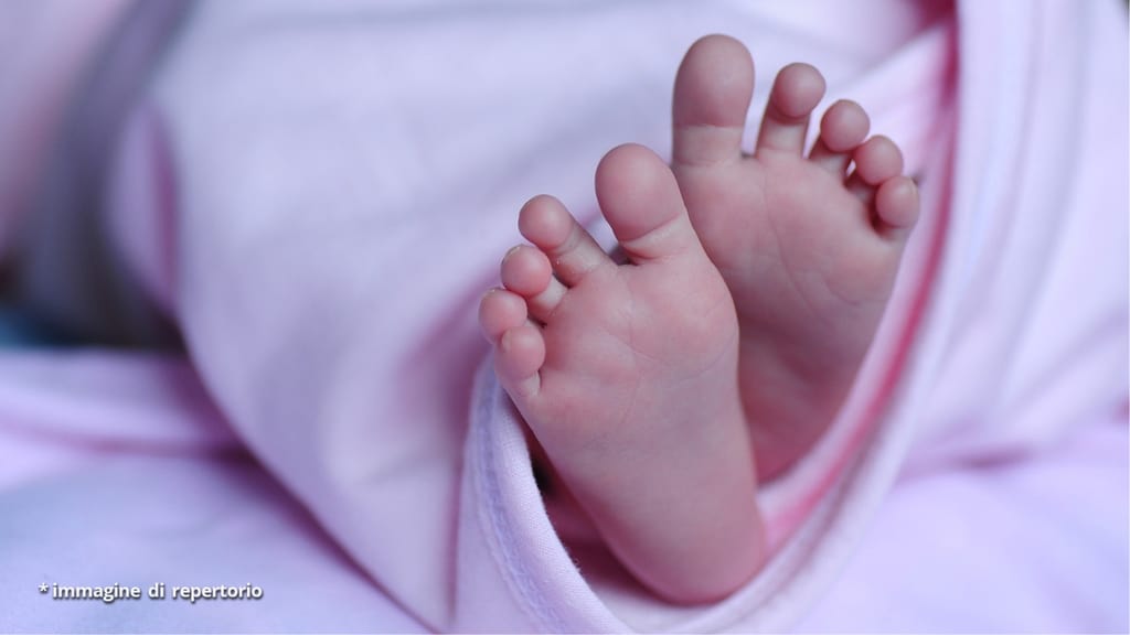 piedini di una neonata
