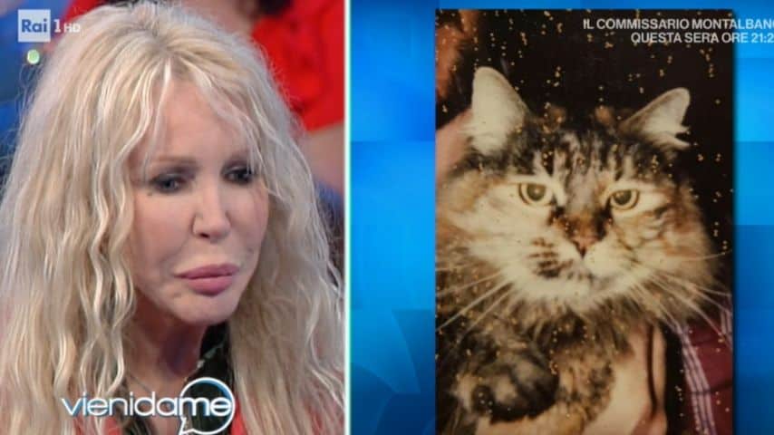 ivana spagna e la foto del suo gatto