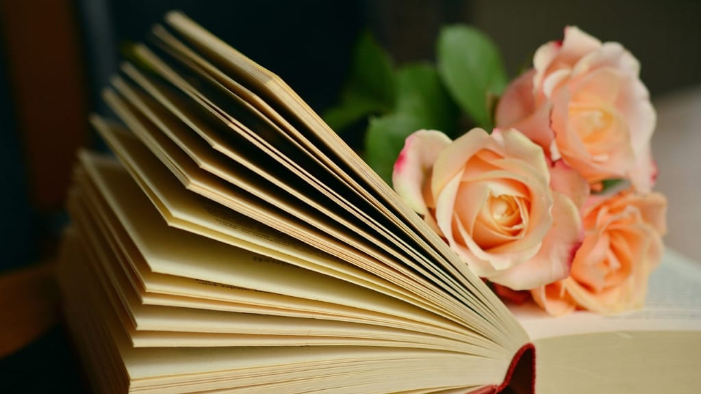 libro aperto con delle rose dentro