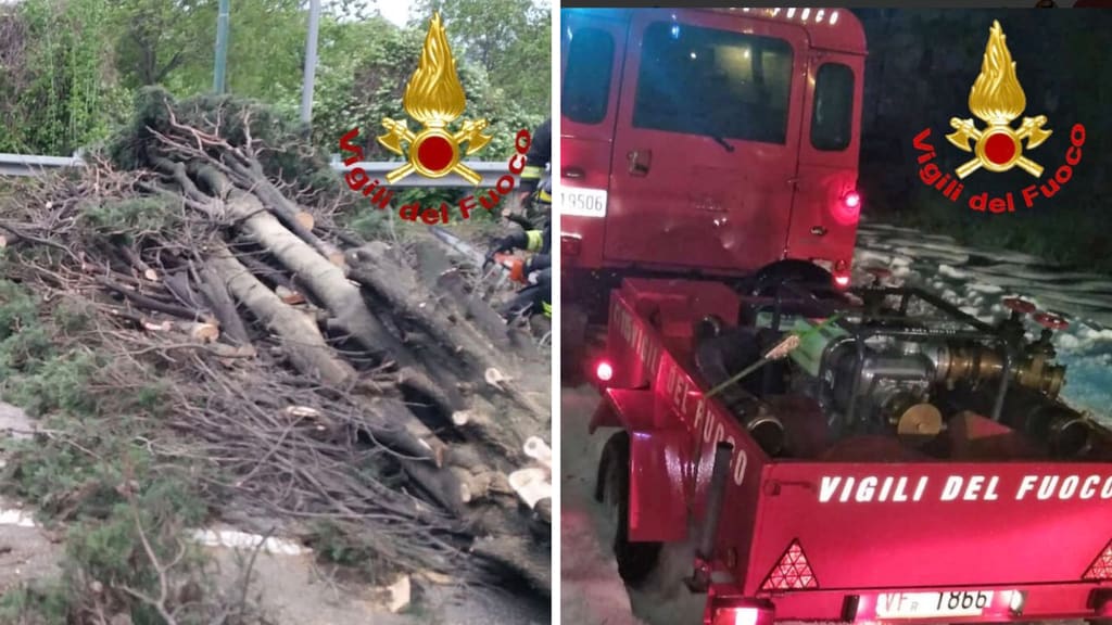 alberi caduti e operazioni dei vigili del fuoco