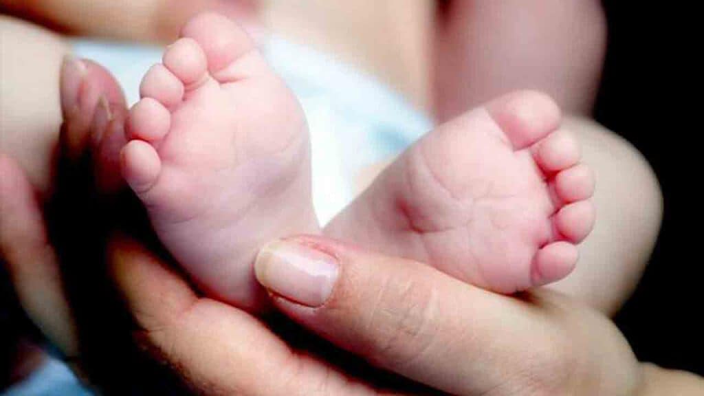 neonato
