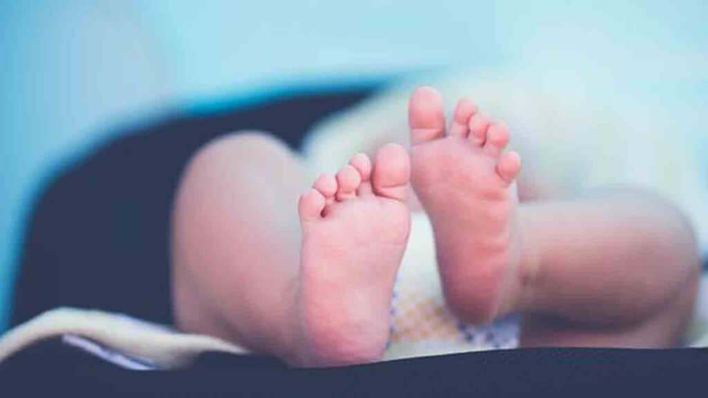 neonato