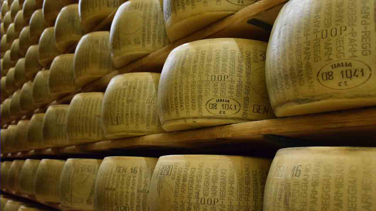 Forme di Parmigiano Reggiano
