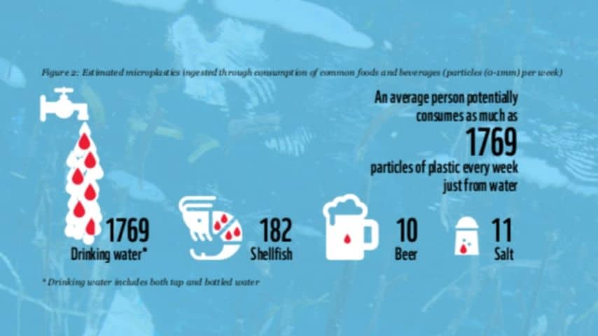 Microplastiche stimate ingerite attraverso il consumo di cibi e bevande comuni a settimana. Fonte: Studio "No plastic in nature: assessing plastic ingestion from nature to people", Sito WWF