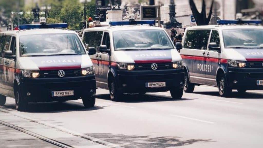 Polizia Vienna