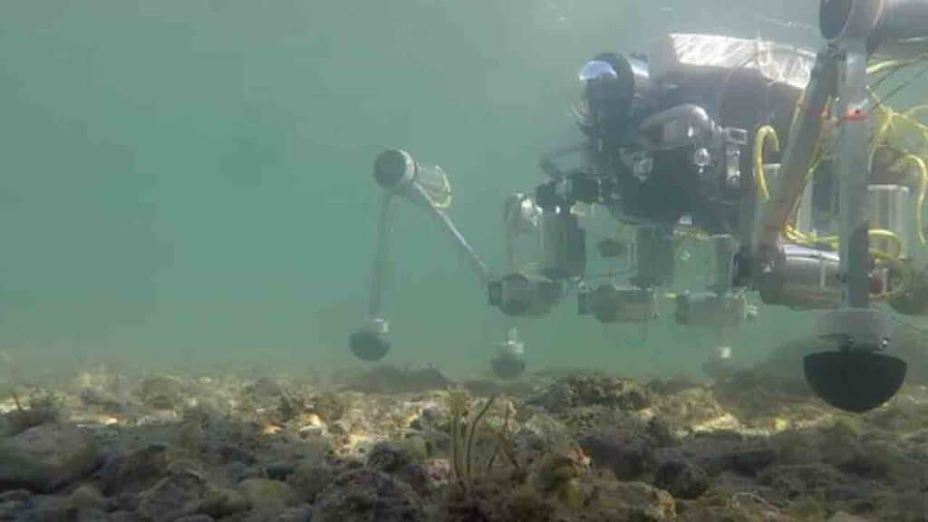 Robot granchio in mare