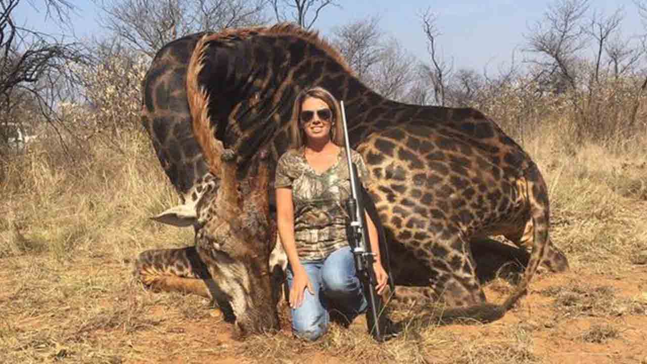 La cacciatrice Tess Talley davanti alla giraffa nera uccisa