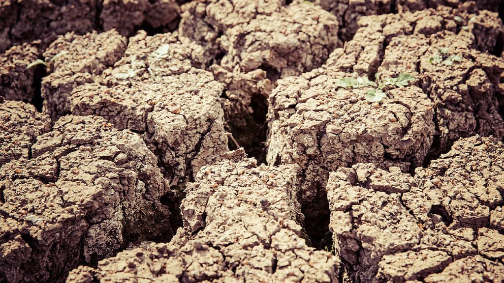 zolle di terreno desertificato