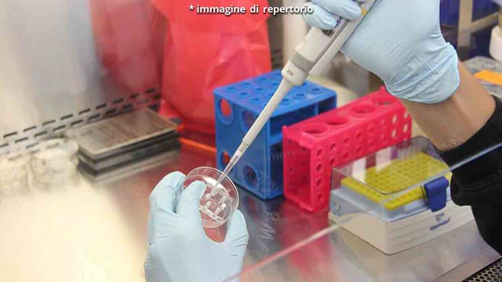 mano di medico test in laboratorio