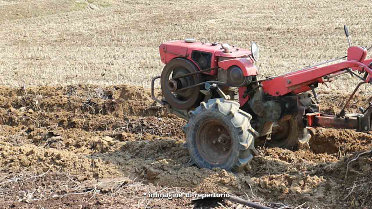 Motozappa su un campo