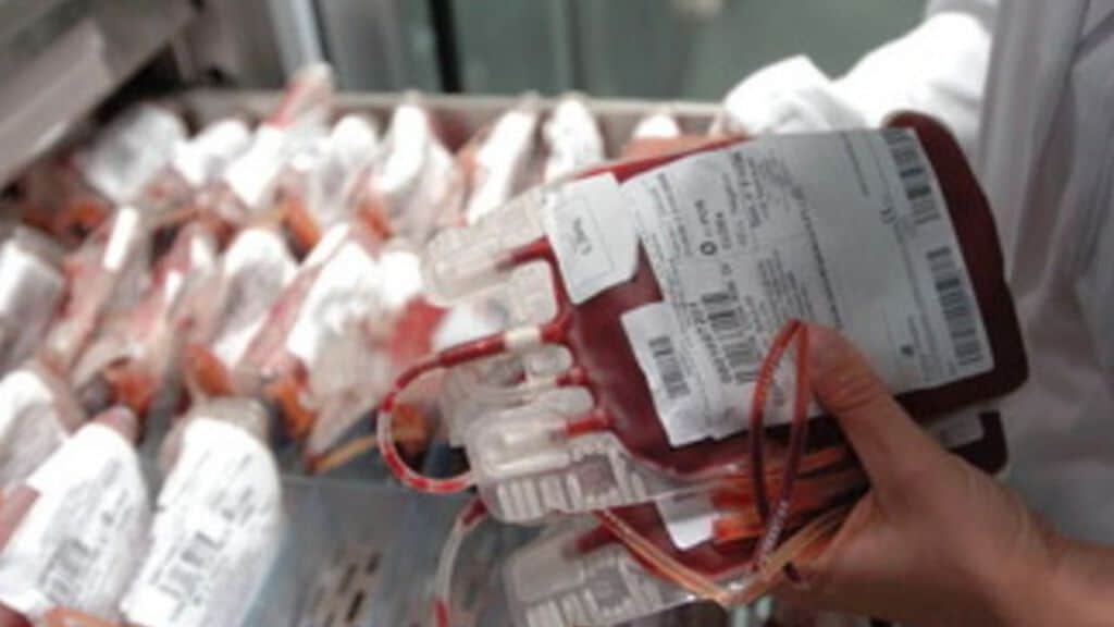 sacche di sangue per la trasfusione in mano ad un infermiera