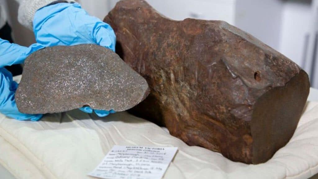 Pensa di aver trovato una pepita d'oro ma in realtà è un meteorite (Foto Melbourne Museum-Museums Victoria)