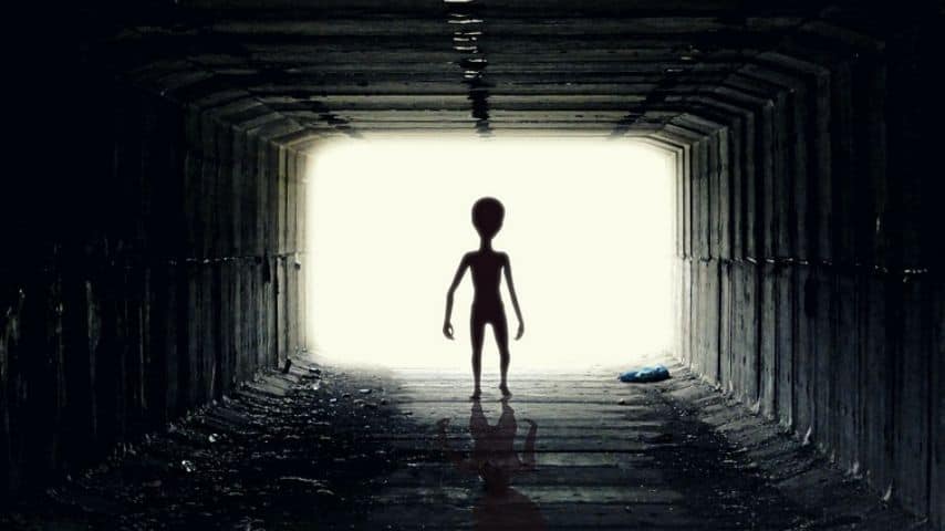 Alieno nell'Area 51