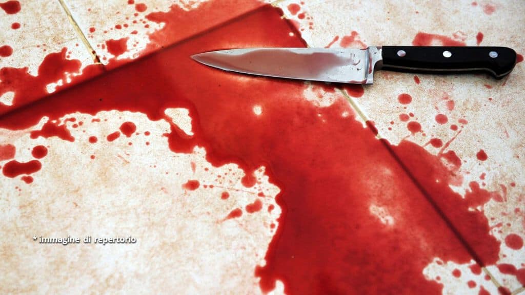 coltello insanguinato