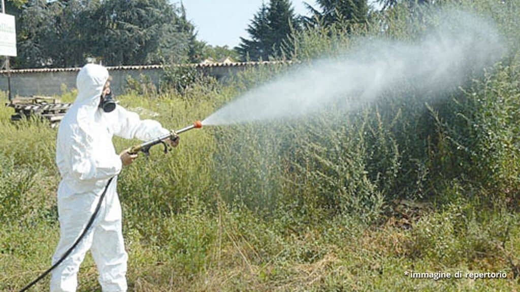 disinfestazione zanzare