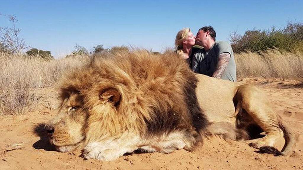 Darren e Carolyn Carter, Legelela Safaris