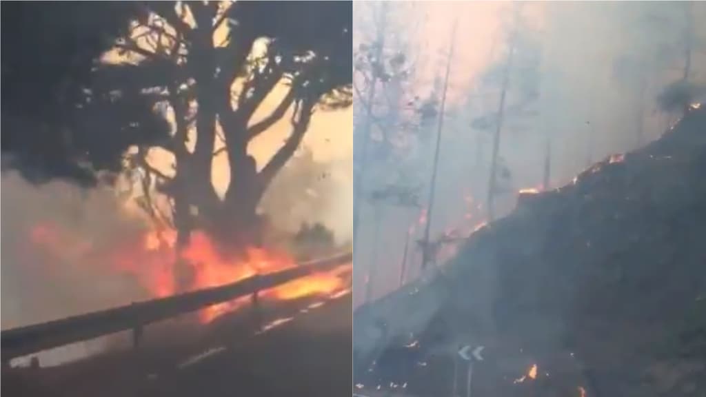 Incendio alle canarie