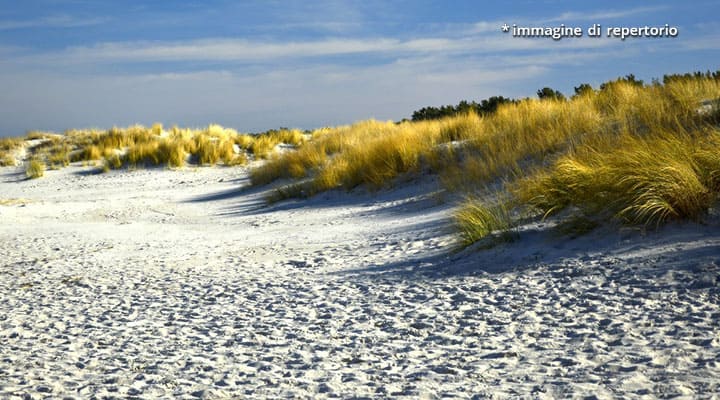 dune in spiaggia