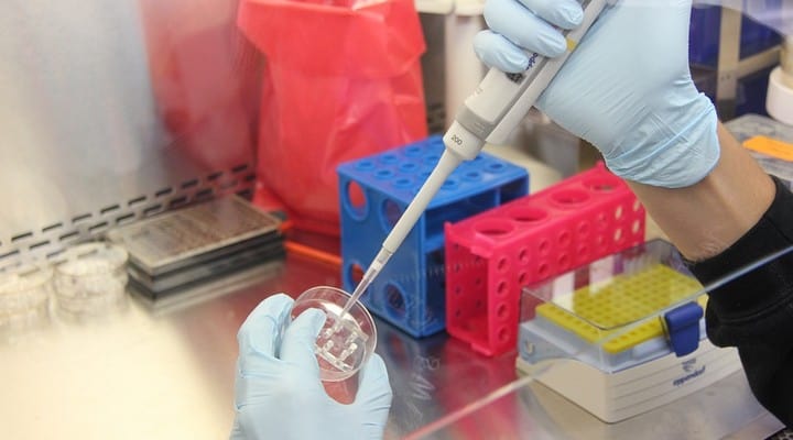 ricerca, analisi di laboratorio