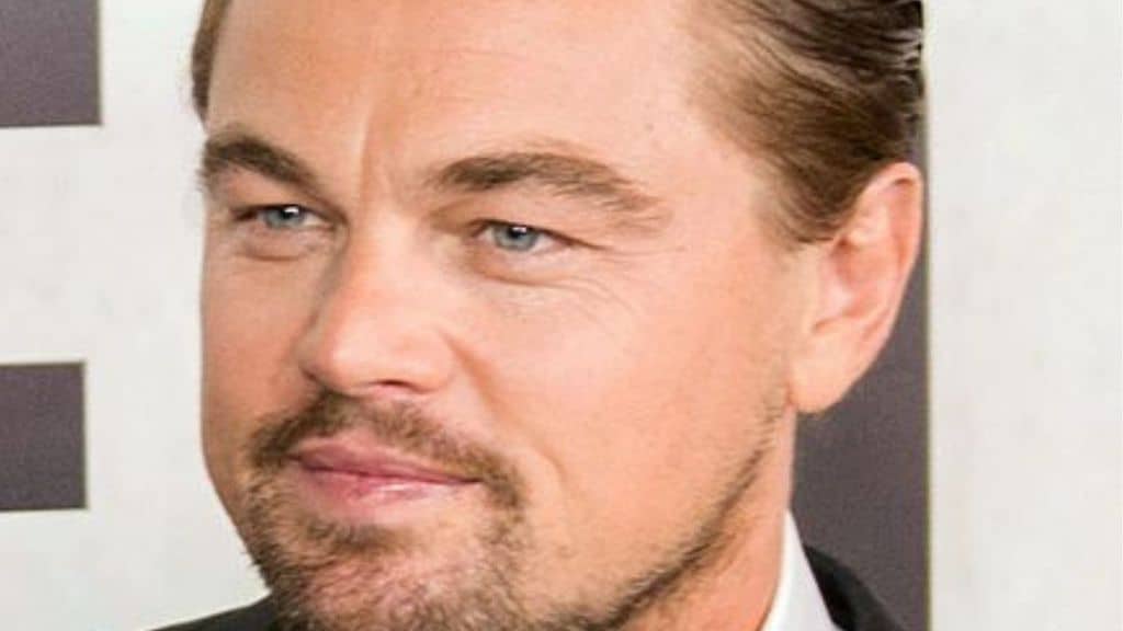 primo piano dell'attore leonardo di caprio