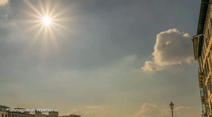 sole