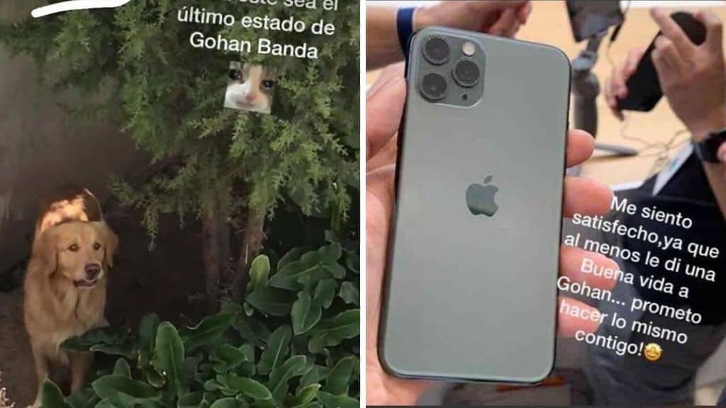 Un ragazzo messicano ha dato via il suo fedele cane in cambio del nuovissimo iPhone 11. Criticato aspramente da amici e utenti sui social: "Sei un idiota, non hai sentimenti" (Foto: Twitter/Instagram/Facebook)