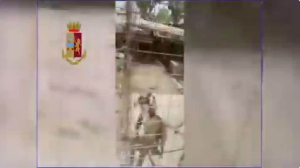 Canile-lager a Catania: 55 cani senza cibo né acqua, indagati i gestori