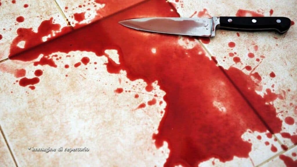 Frascati, un uomo ha cercato di soffocare la moglie ieri notte. Il figlio della coppia è intervenuto e ha accoltellato il padre (Immagine di repertorio)